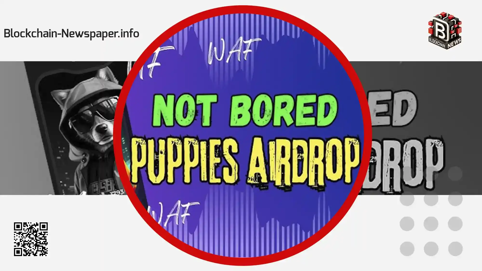 Not-Bored-Puppies